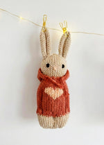 The Knitty Bunny - Easy Mini Knitted Bunny Kit